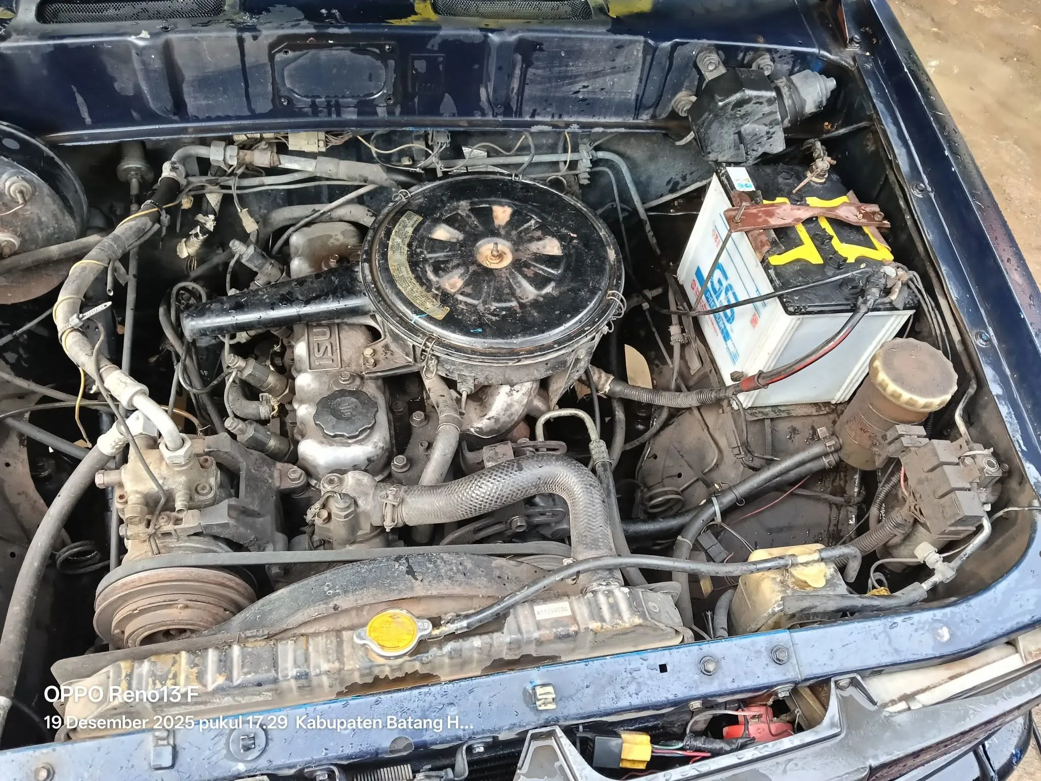 panther hi grade 1995